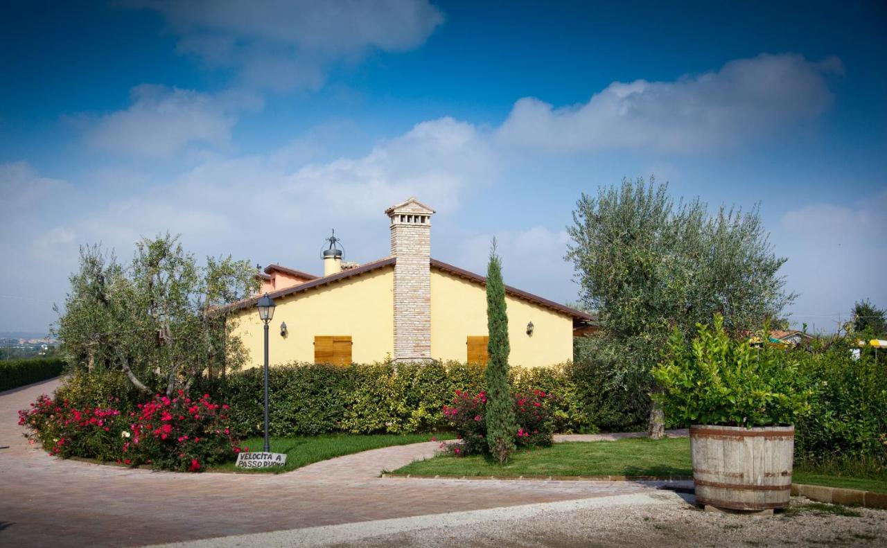 Valle Del Metauro Country House Montemaggiore al Metauro Zewnętrze zdjęcie